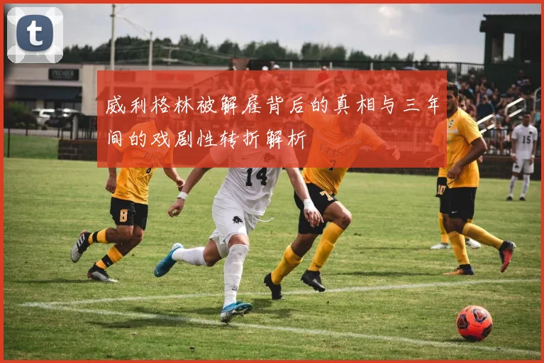 威利格林被解雇背后的真相与三年间的戏剧性转折解析