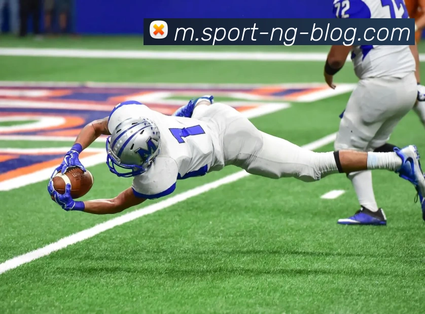 南宫体育平台生态图